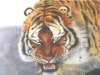 tiger-3